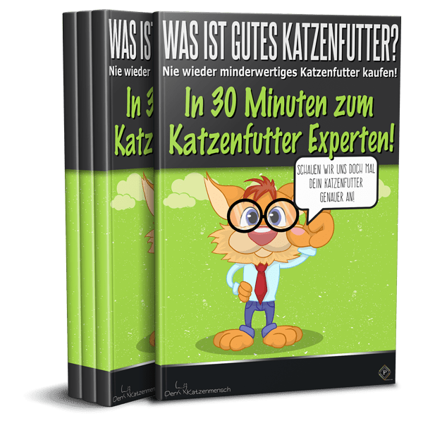 Gutes Katzenfutter - Ratgeber - der Katzenmensch