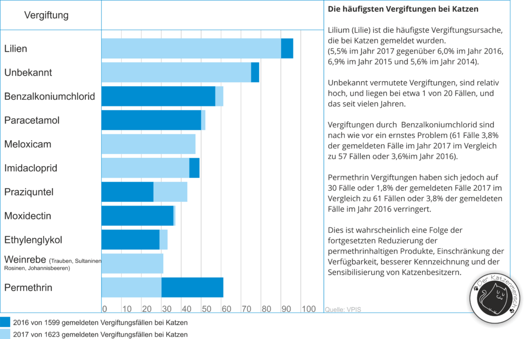 Permethrin Vergiftung bei der Katze - Infografik Vergiftungen bei Katzen