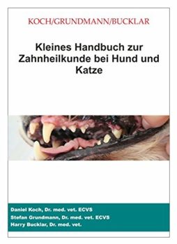 FORL bei der Katze Zahnheilunde bei Katze und Hund